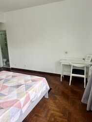 Clementi Park (D21), Condominium #558080861
